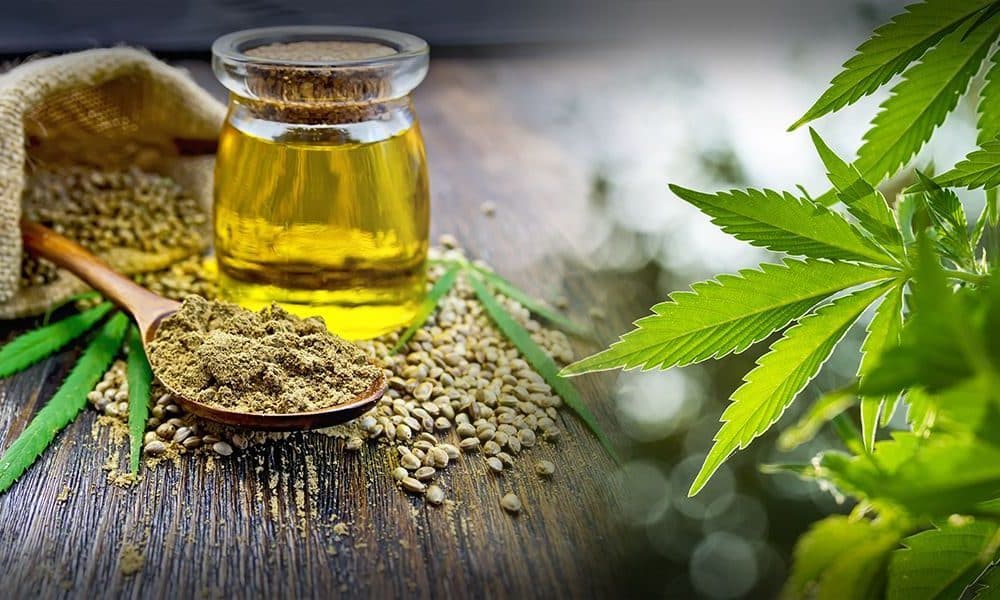 CBD and Cannabis: Bridging Ancient Remedies with Modern Health